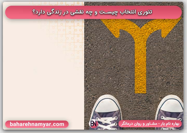 تئوری انتخاب چیست و چه نقشی در زندگی دارد؟ | بهاره نام یار