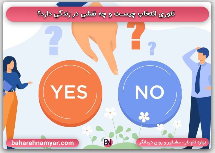 تئوری انتخاب چیست و چه نقشی در زندگی دارد؟ | بهاره نام یار